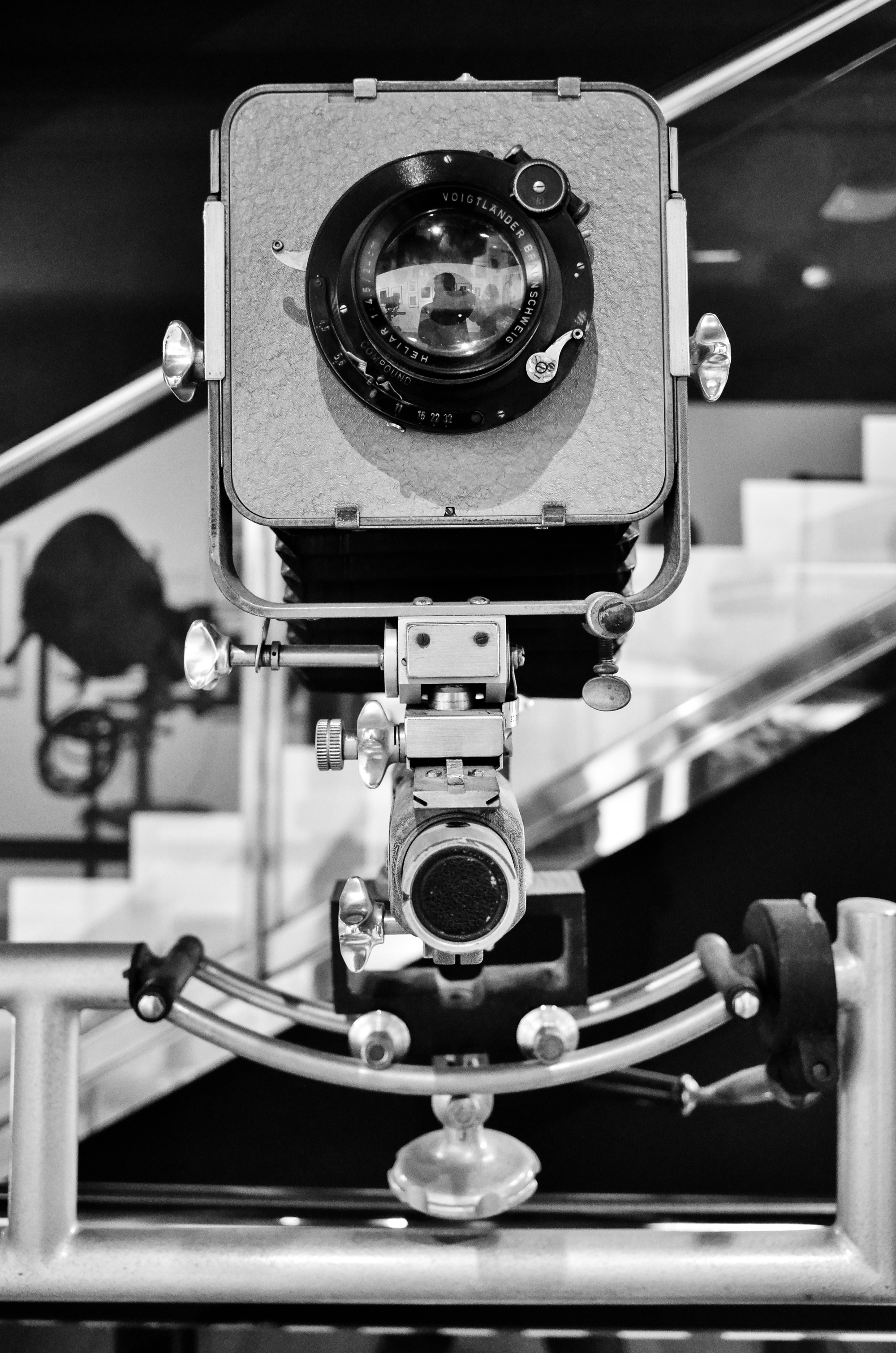 _DSC1916