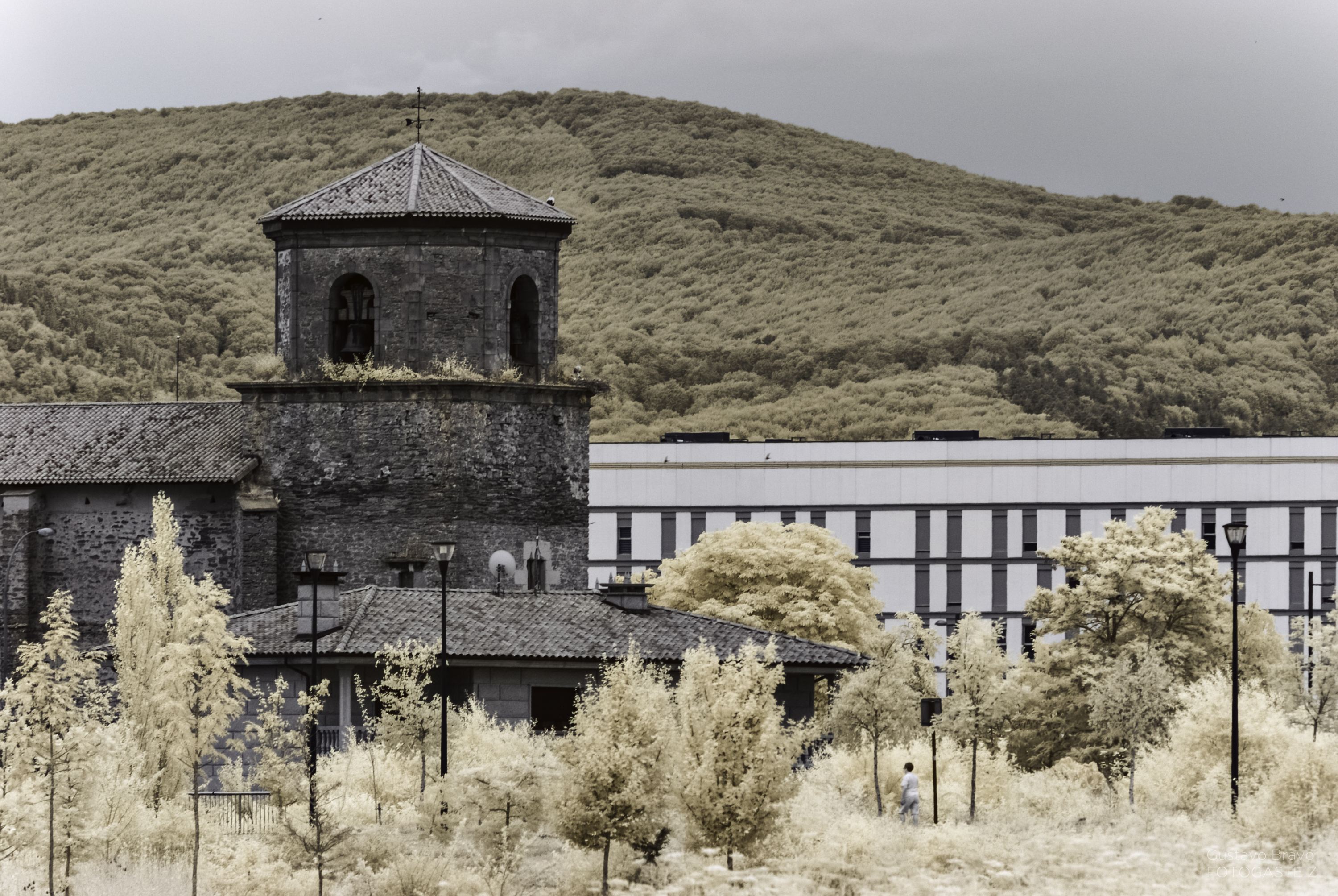 _DIR4895-Editar