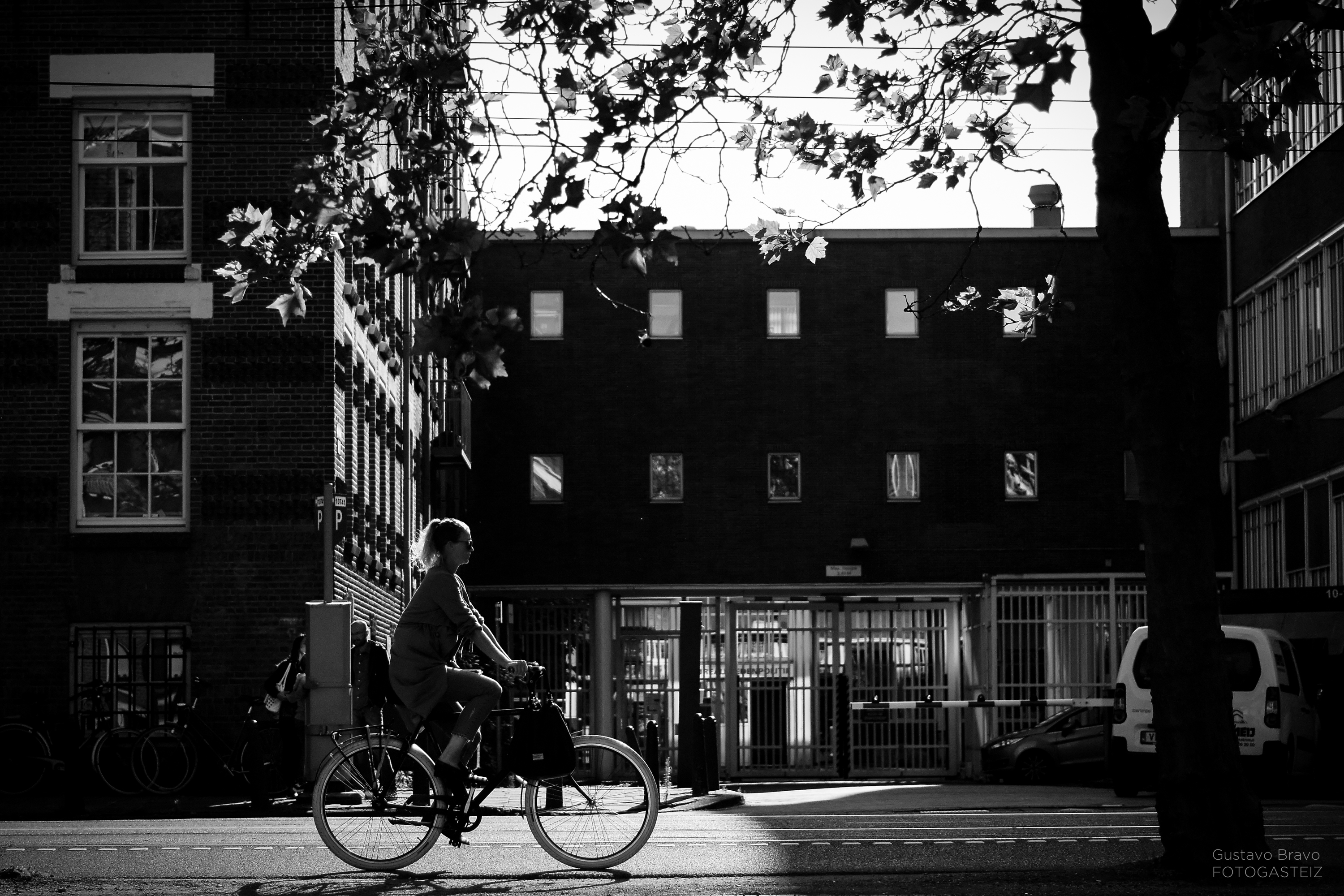 _dsc2063