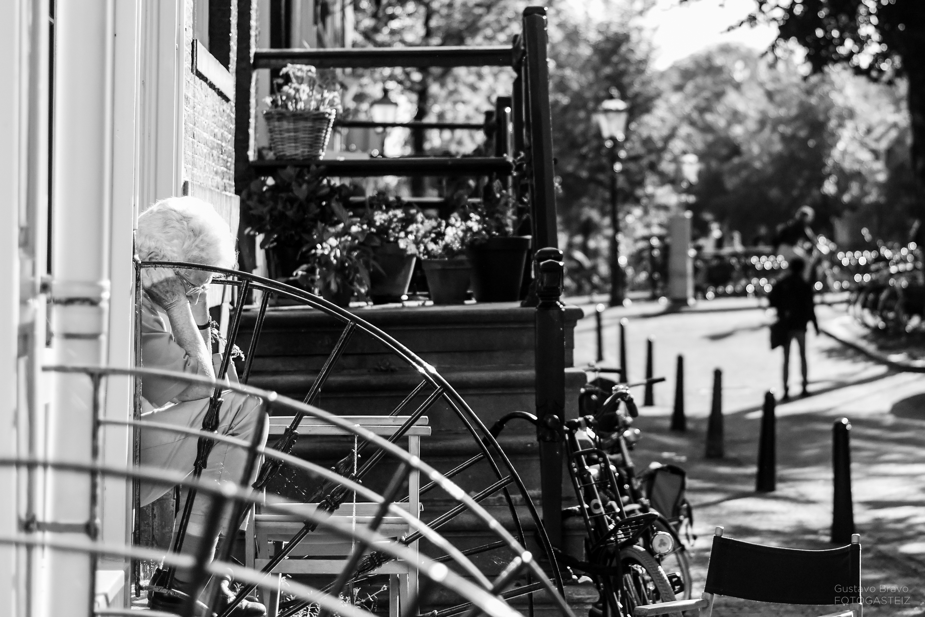_dsc2098