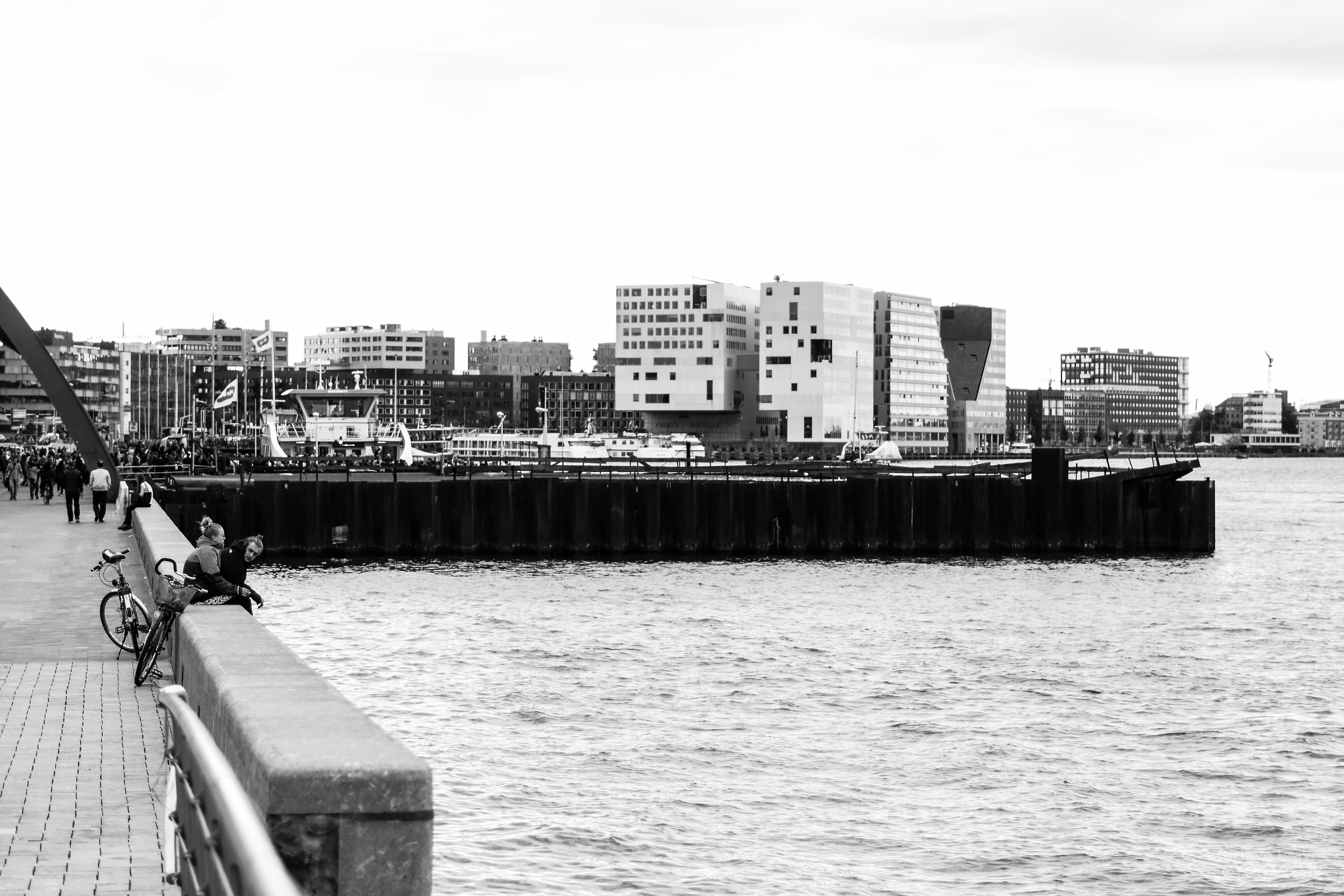 _dsc2941