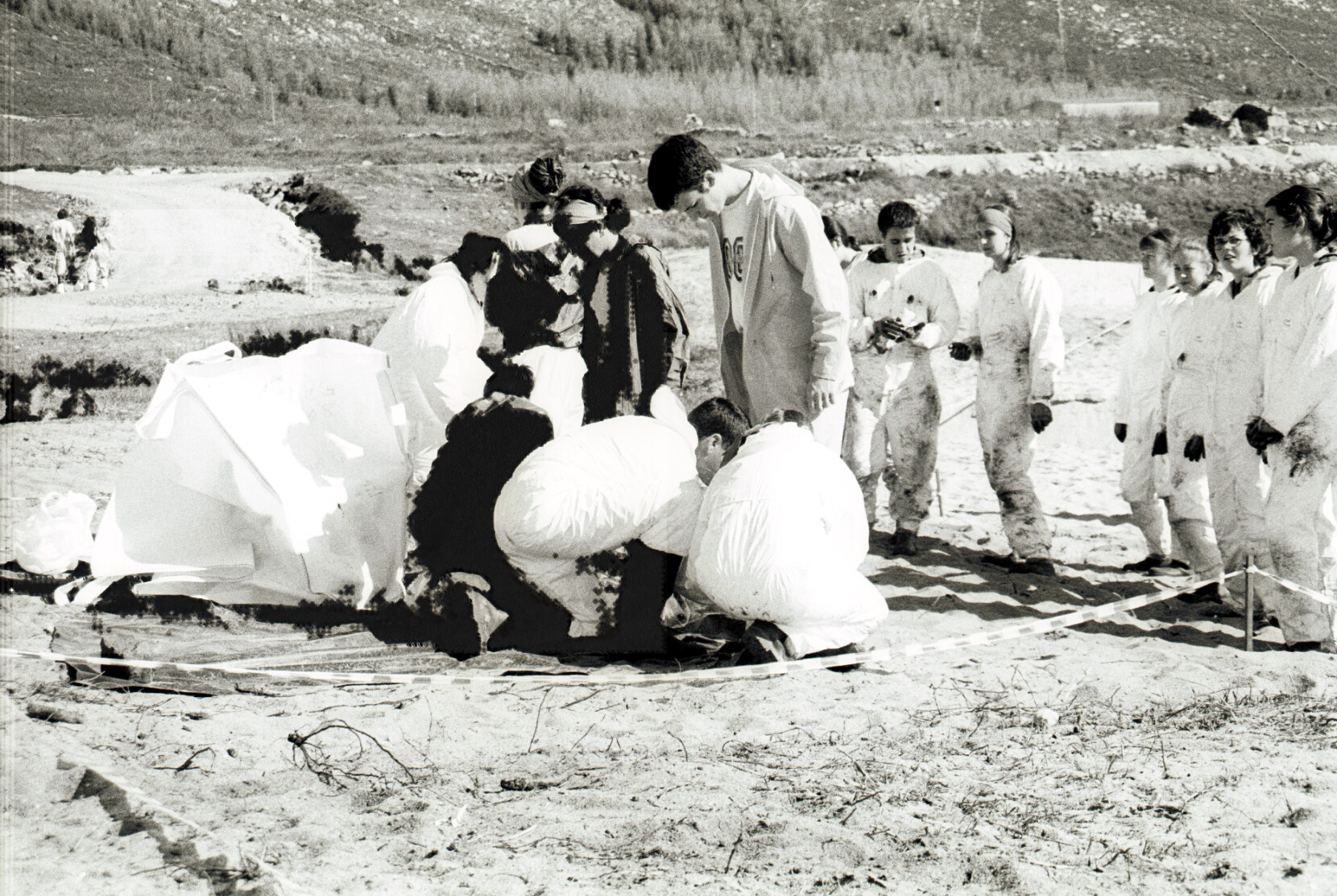 image10