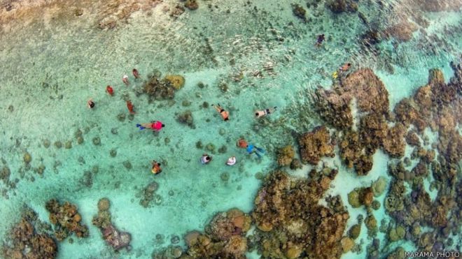 Jardín de Corales en la Laguna de Tahaa, en la Polinesia francesa