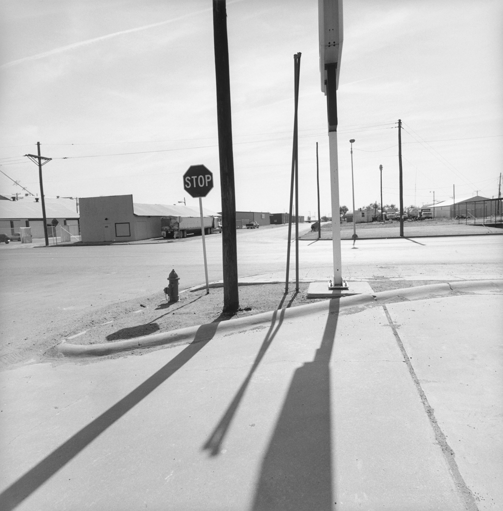 Lee friedlander фотографии