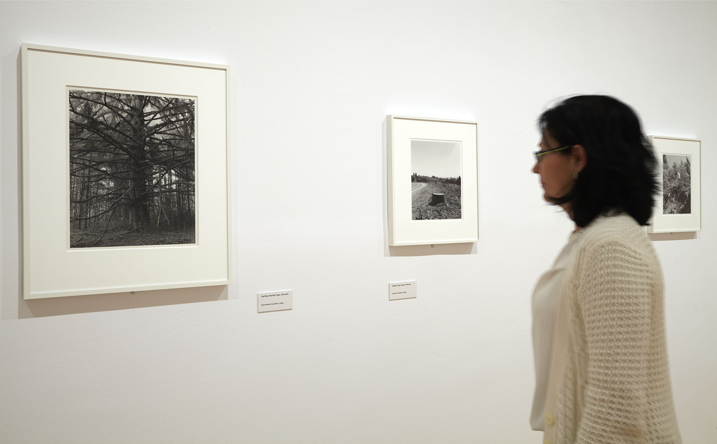 cropped-15-sala_0.jpg