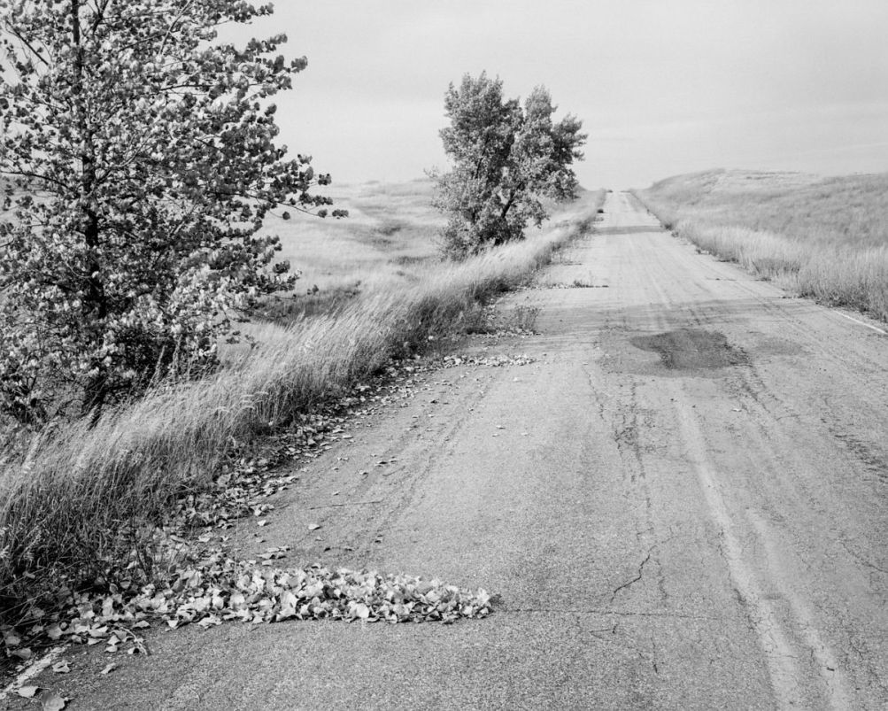 robert_adams_28