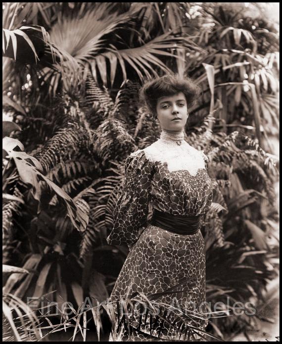 Frances Benjamin Johnston - Profesor De Fotografía